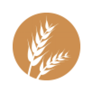 Gluten