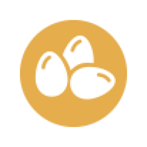 Huevos