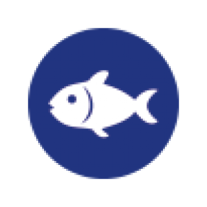 Pescado
